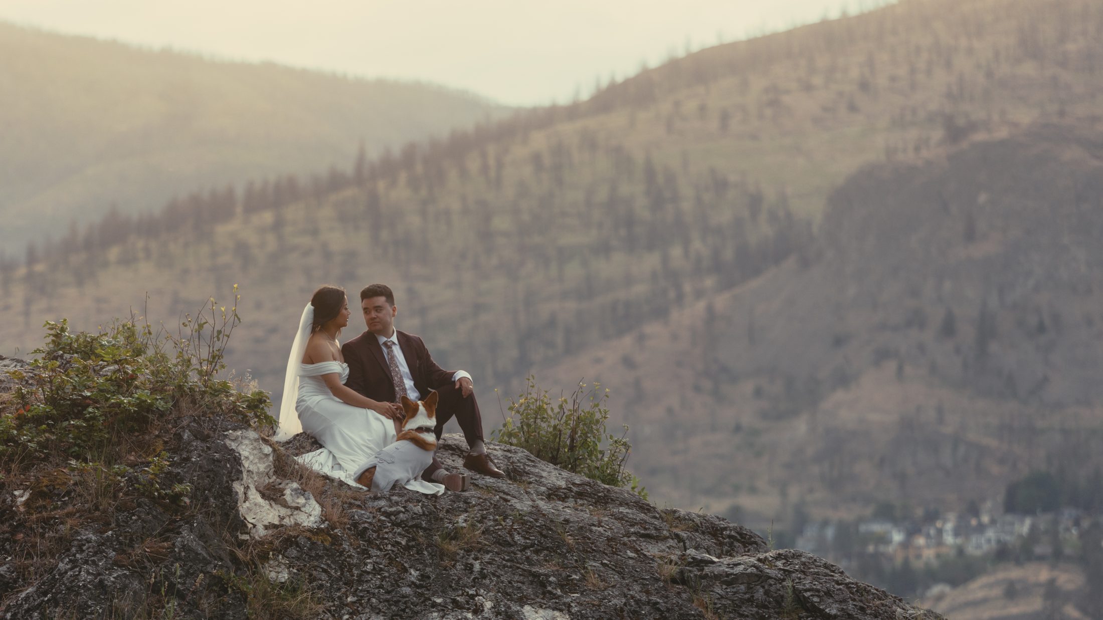 A newly married couple and their dog overlooking an Okanagan mountain valley